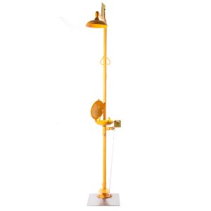 DAAO6613-X Compound Emergency Shower and Eye Wash Station